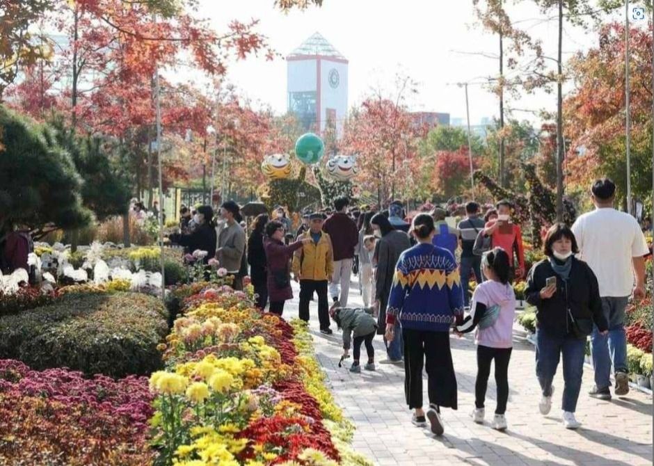 유성국화축제
