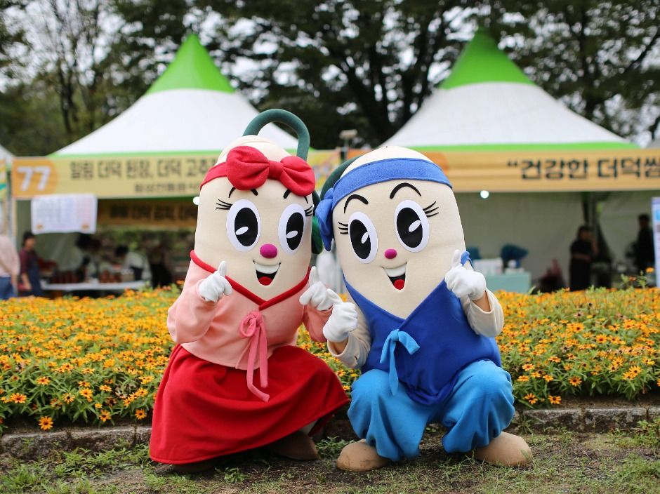 횡성더덕축제